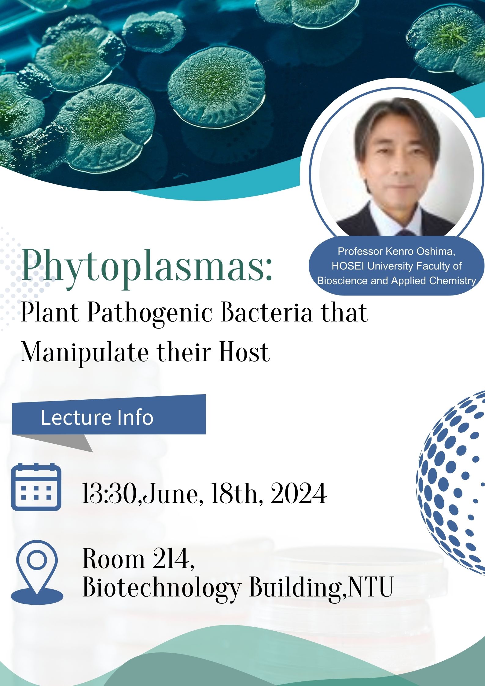 Phytoplasmas plant pathogenic bacteria that manipulate their host