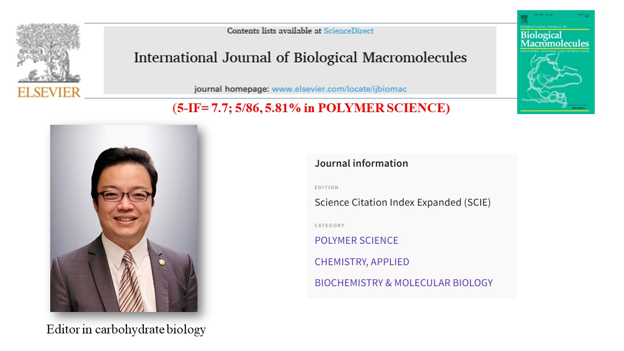 20250510 Editor for IJBOM